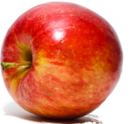 Pommes Récré